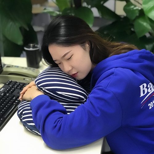 天琴 全棉護(hù)肘趴趴枕 枕被